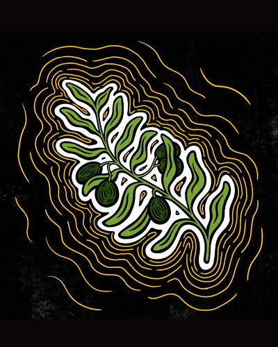 Screening 'Where Olive Trees Weep'